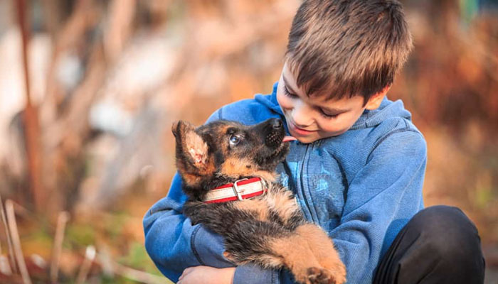 How To Choose The Best First Puppy For Your Kids