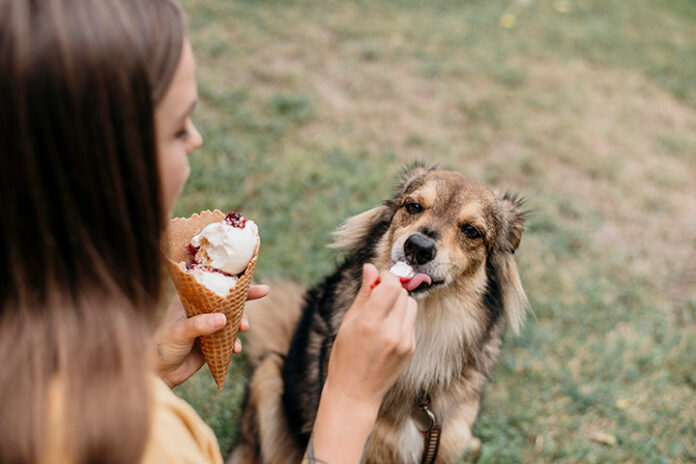 is ice cream safe for dogs?